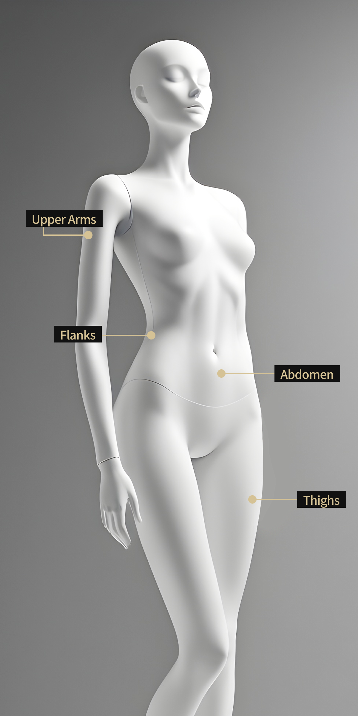 Body model image showing the areas to be treated with ZeroSocks, including the arms, sides, abdomen, and thighs.