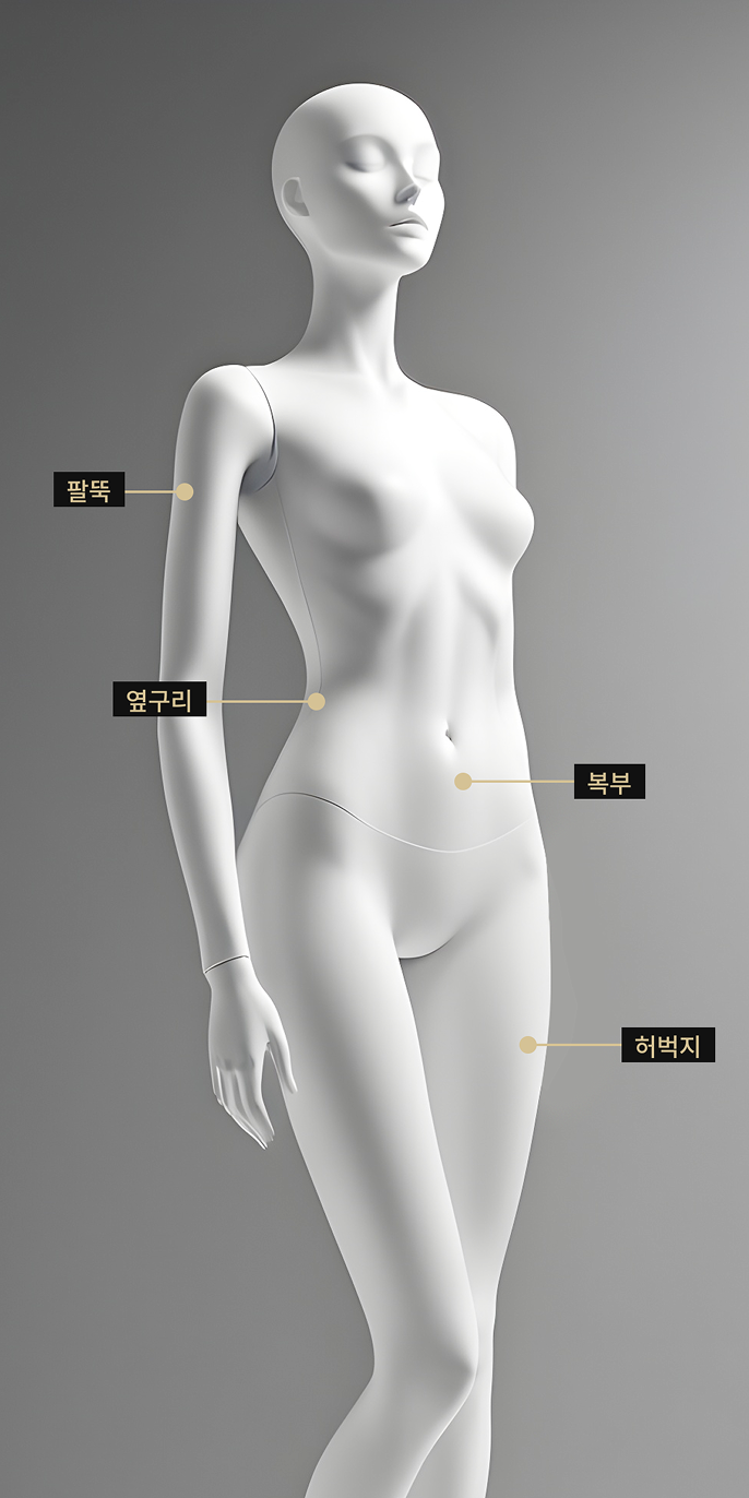 팔뚝, 허벅지, 복부, 옆구리 등 제로쏙 주사 적용이 가능한 국소 시술 부위를 표시한 바디 모델 이미지