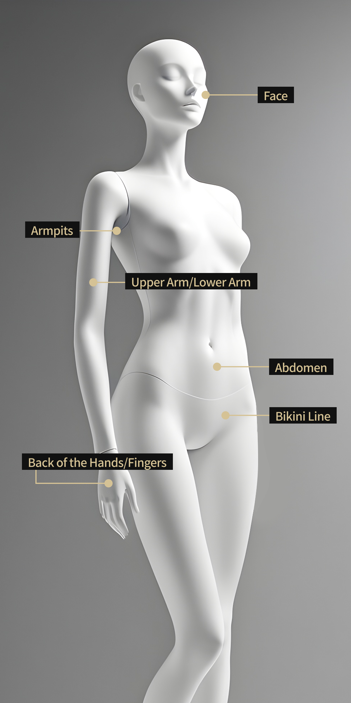 Body model image showing the areas treated with the Clarity Laser, which allows full body hair removal.