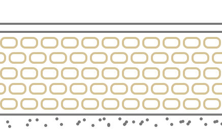 엑소좀 주입 후 콜라겐과 엘라스틴 활성화를 표현한 피부 구조 설명 이미지