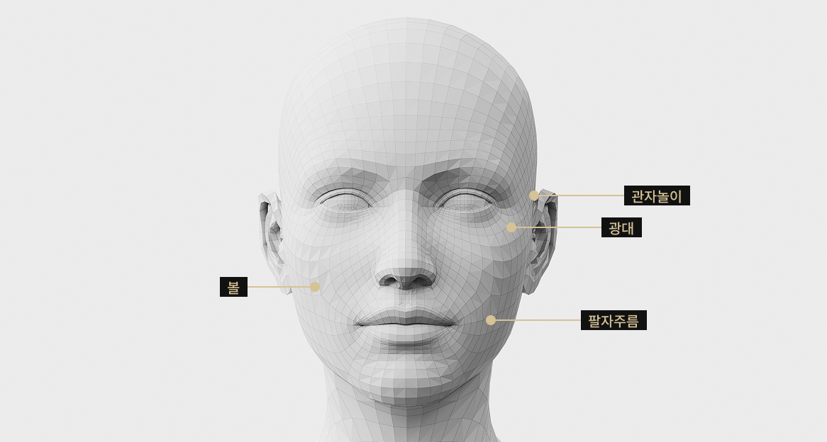 스컬트라 적용 부위를 표시한 3D 얼굴 모델 이미지