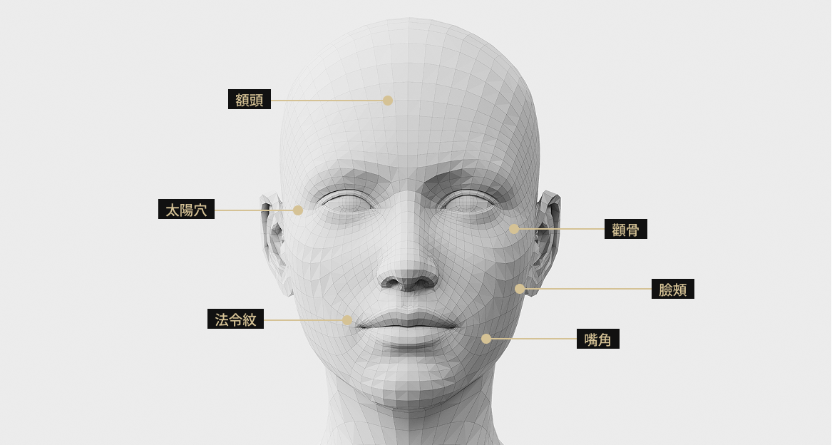 臉部模型影像顯示了 Juvelook 容量治療的部位，包括太陽穴、額頭、法令紋、嘴角和臉頰。