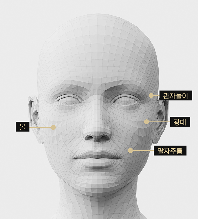 스컬트라 적용 부위를 표시한 3D 얼굴 모델 이미지