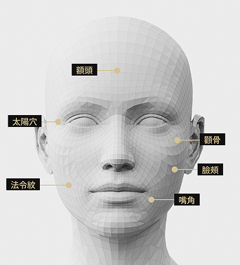 臉部模型影像顯示了 Juvelook 容量治療的部位，包括太陽穴、額頭、法令紋、嘴角和臉頰。