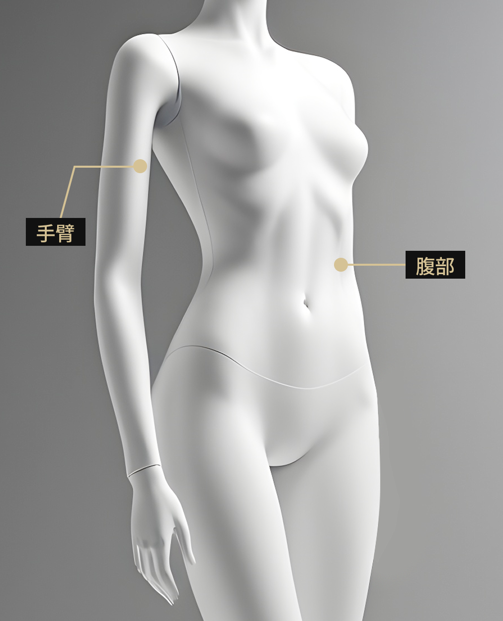 身体影像显示了Onda Lifting疗法的应用部位（下半身）