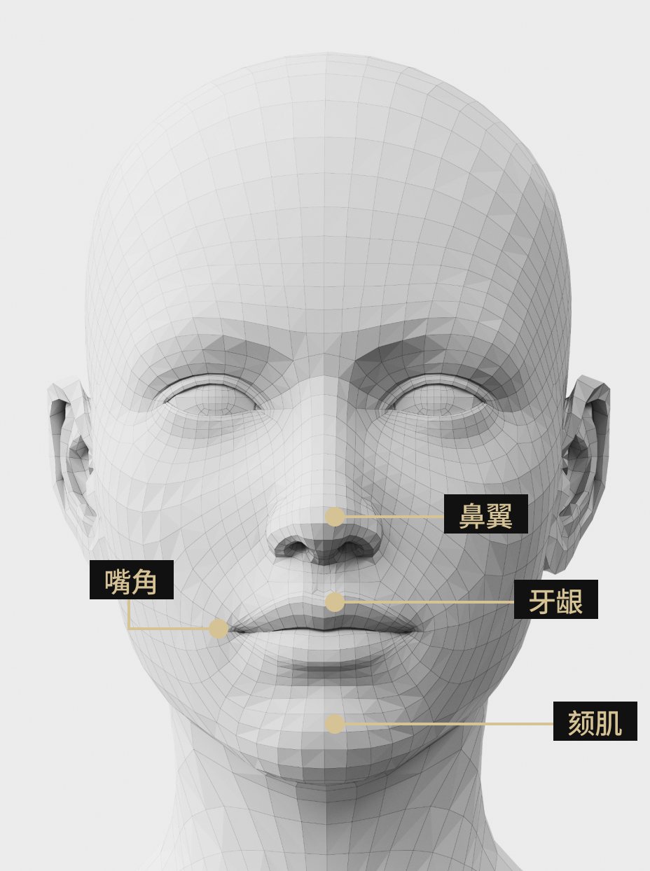 一张说明图片显示了肉毒素注射部位：鼻梁、牙龈、下巴和嘴角。