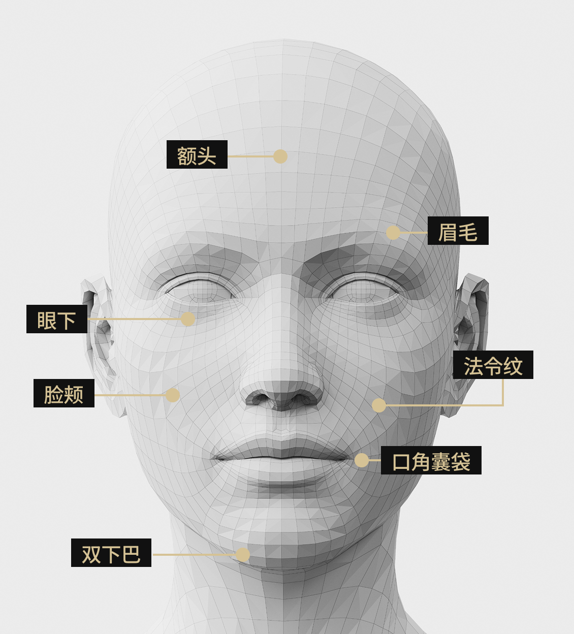 面部模型影像显示了 OligoX 疗程的适应症区域，包括额头、眉毛、脸颊、法令纹、双下巴、眼下和深颊。