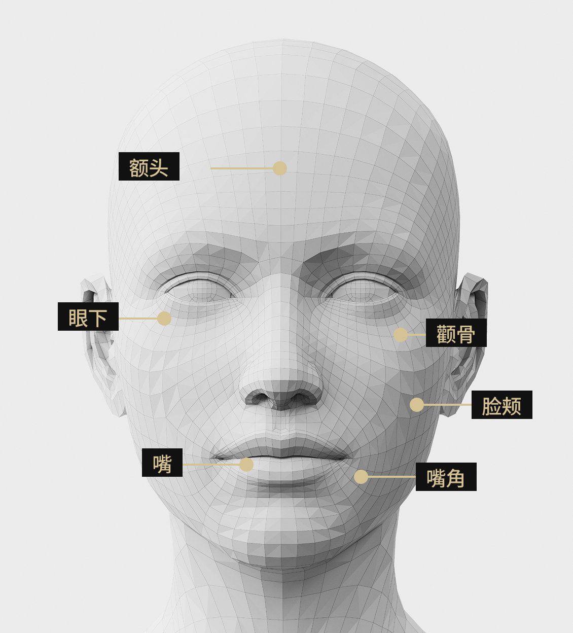 3D面部模型影像显示了适合接受Rejuran治疗的面部区域