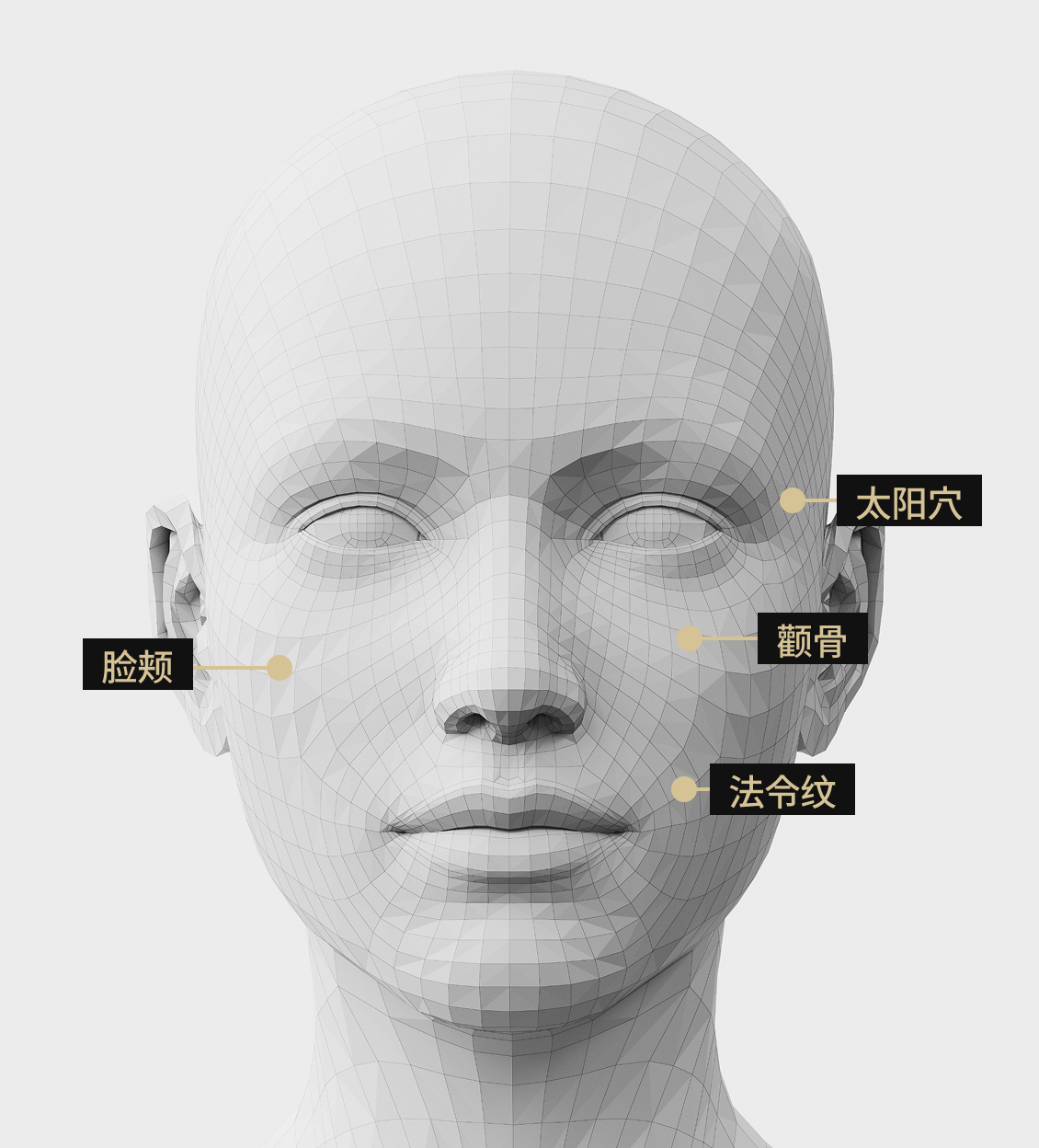 3D面部模型影像显示了Sculptra注射部位。