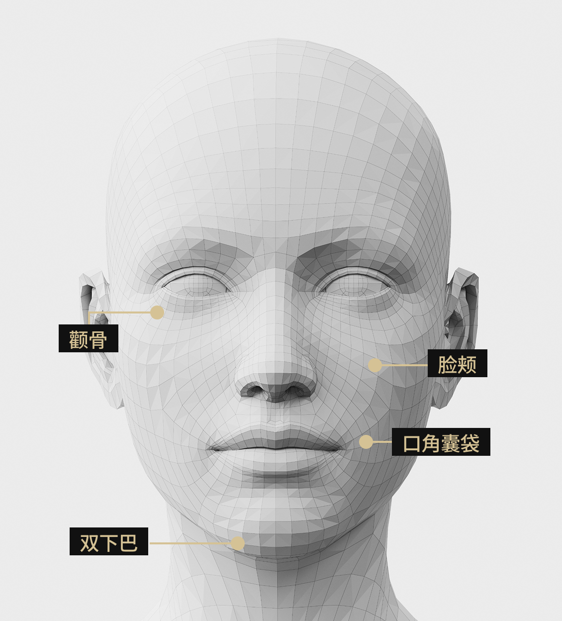 3D面部模型影像显示了Onda提拉术的应用区域。