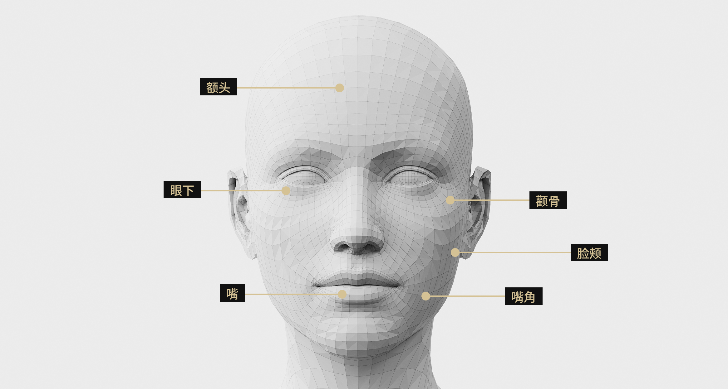3D面部模型影像显示了适合接受Rejuran治疗的面部区域