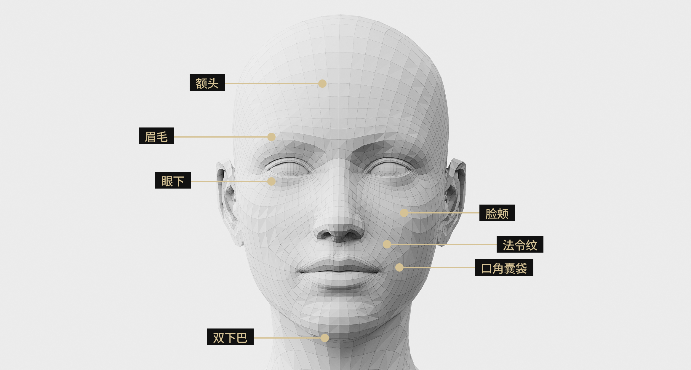 面部模型图片显示了V形提拉的区域，包括额头、眉毛、脸颊、法令纹、双下巴、眼下区域和颧骨深处。