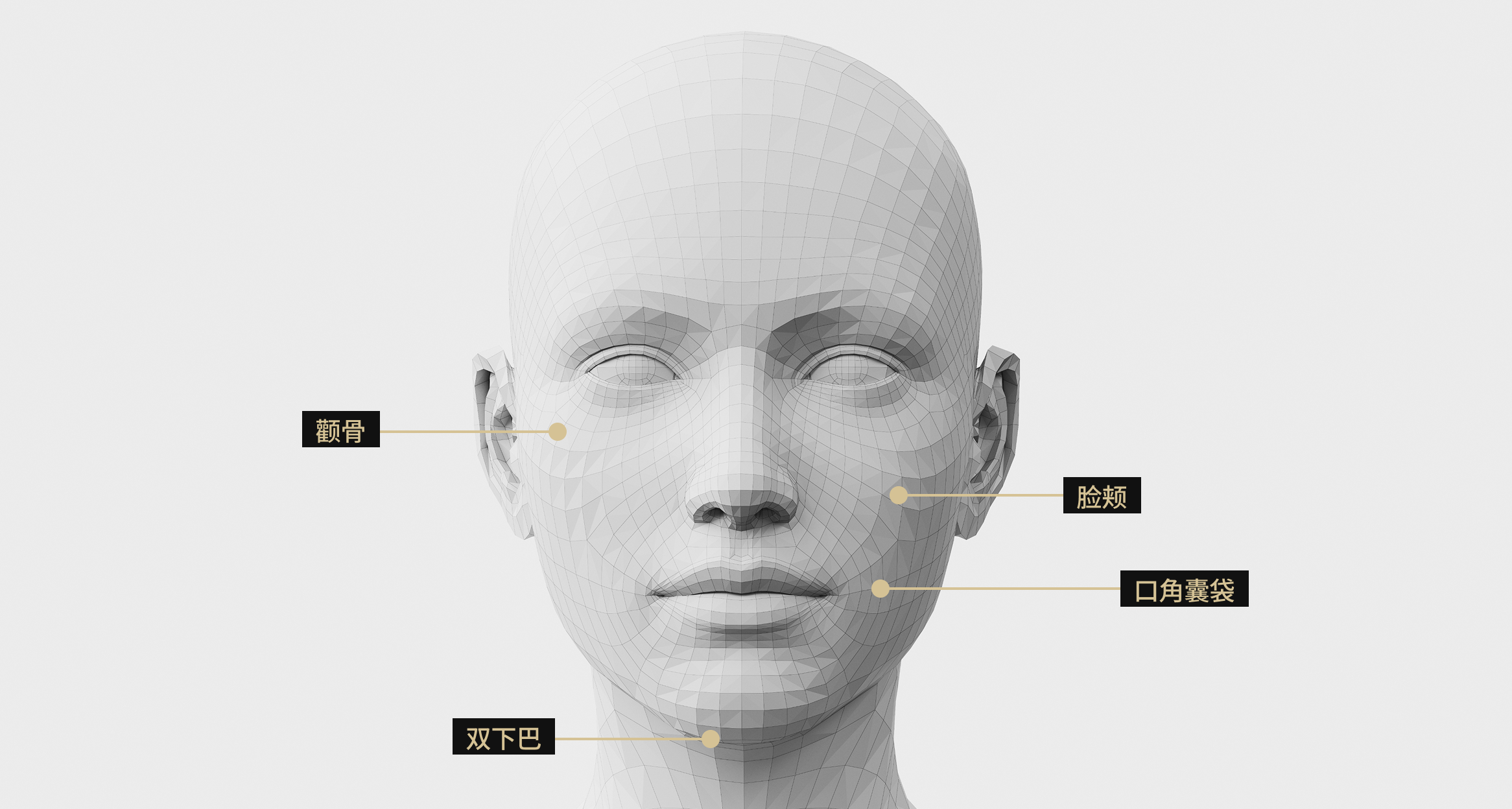3D面部模型影像显示了Onda提拉术的应用区域。