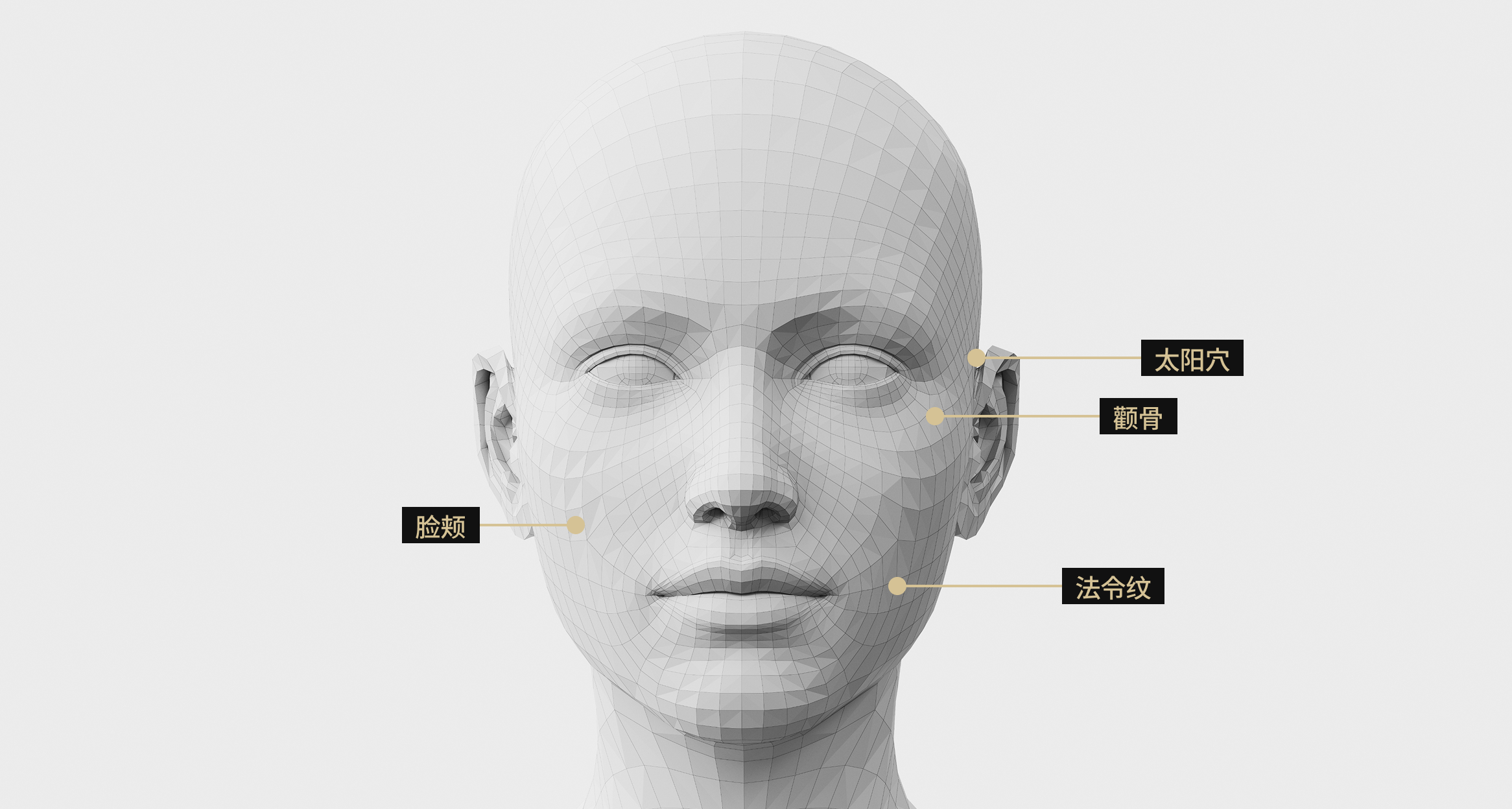 3D面部模型影像显示了Sculptra注射部位。