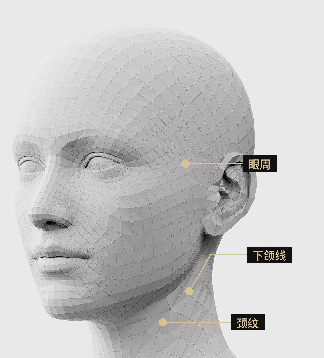 3D人脸模型侧视图