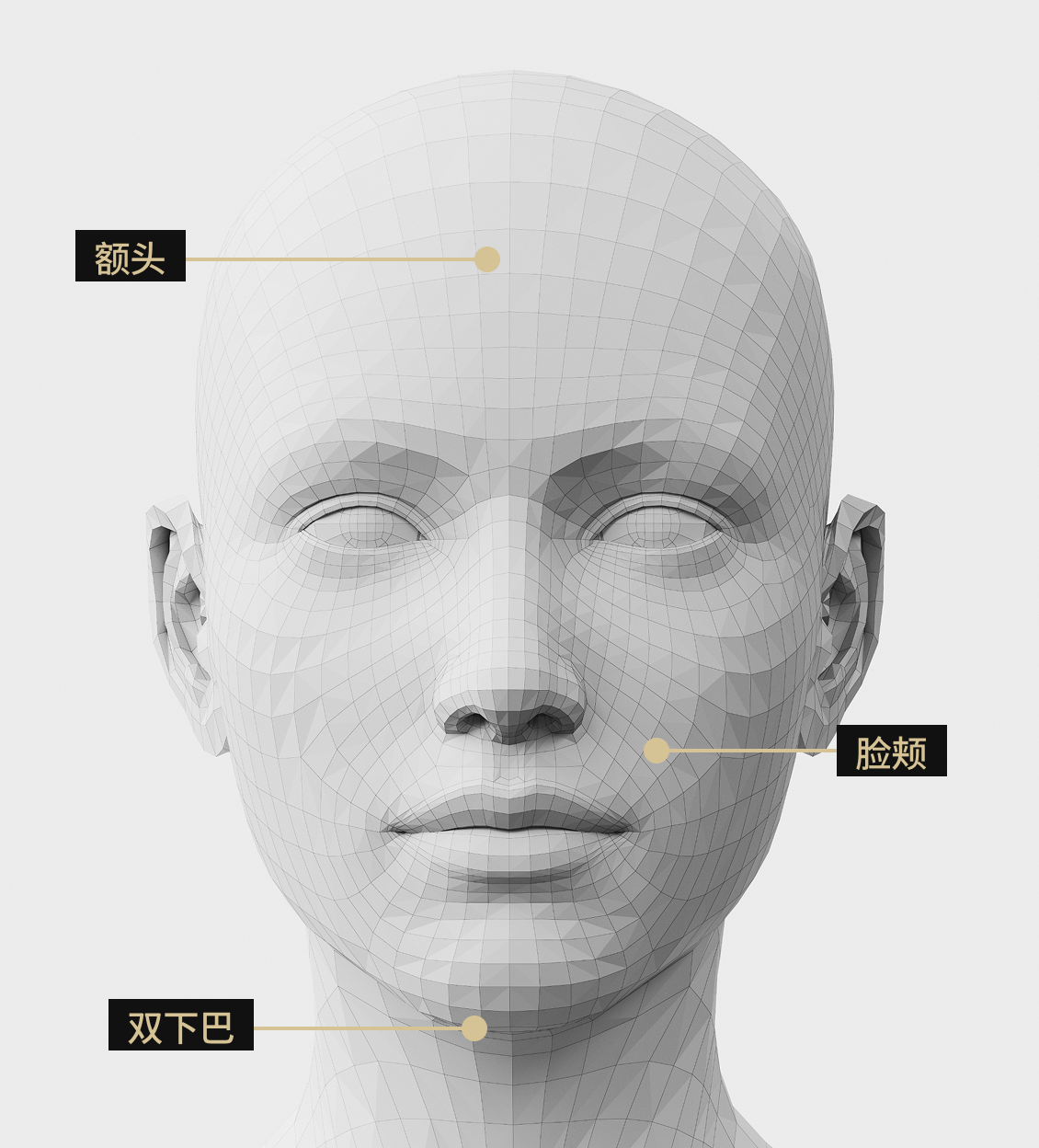 3D人脸模型正面影像